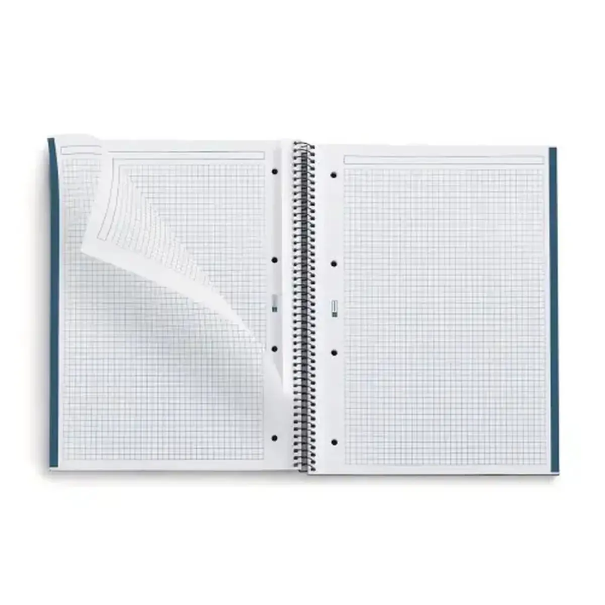 Notebook Eco Design Recyclé A4 Quadri. 5x5mm 80feuil. Butterfly photo du produit