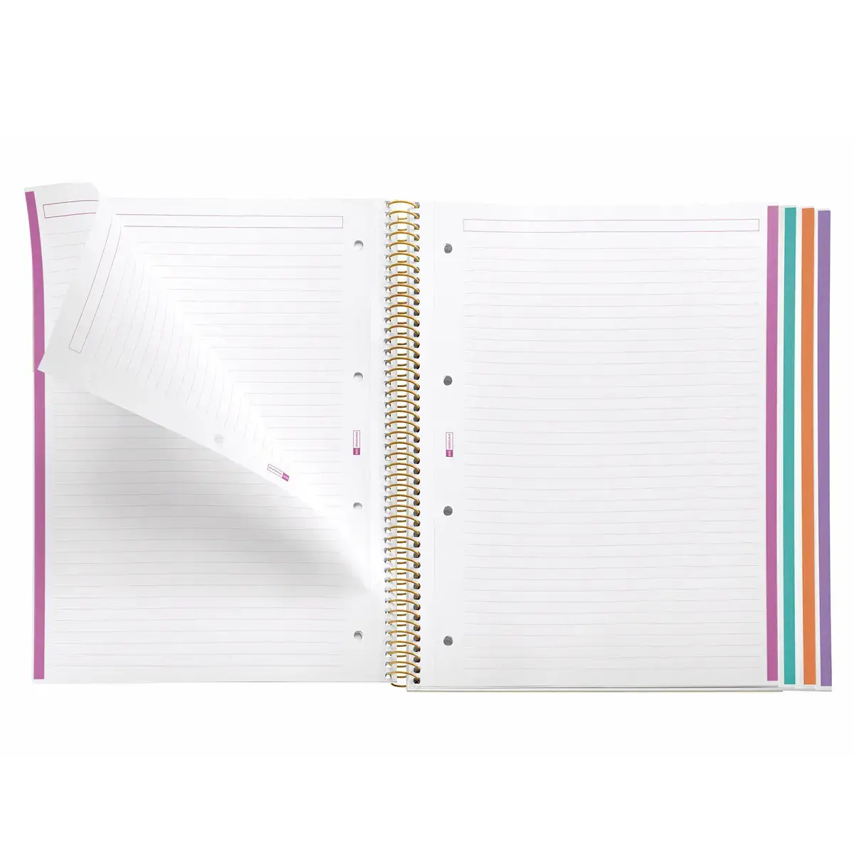 Notebook Lifestyle Rigide A4 Lign&eacute; 7mm 120feuil. 4coul. Serendipity photo du produit