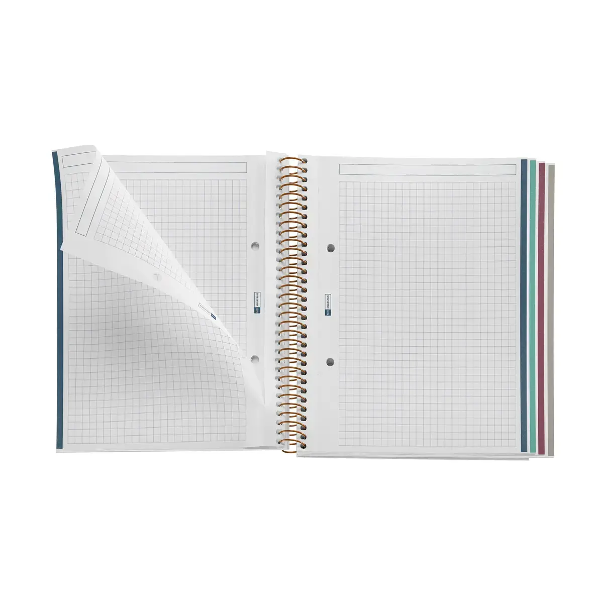 Notebook Lifestyle Rigide A5 Quadrillé 5 x 5 mm 120 feuilles 4 couleurs Constell - Miquel Rius photo du produit