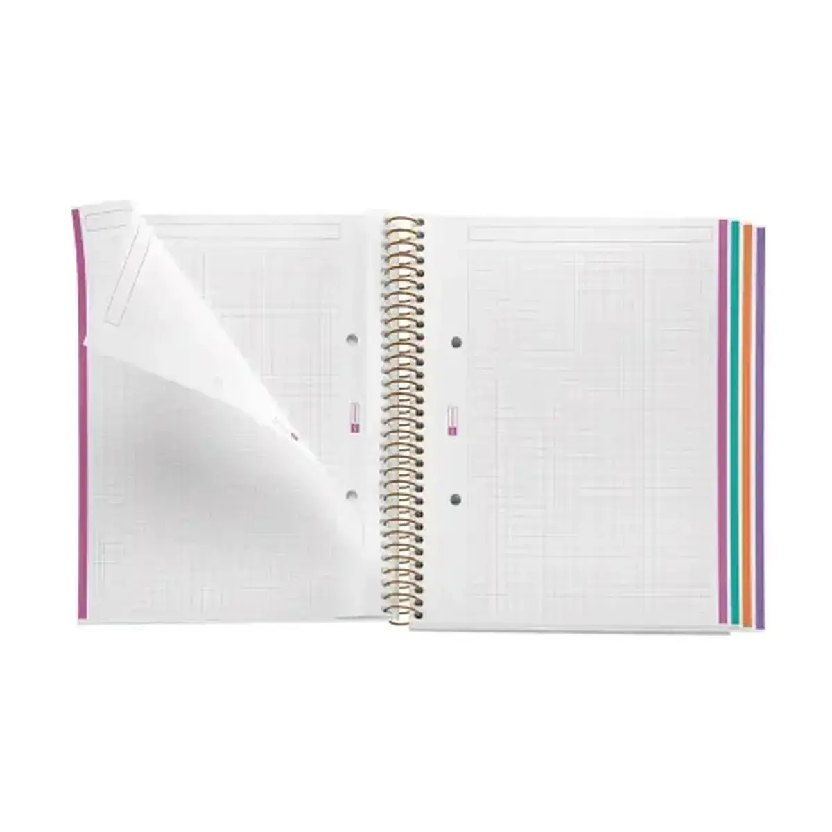 Notebook Lifestyle Rigide A5 Quadri. 5x5mm 120feuil. 4coul. Feuilles photo du produit