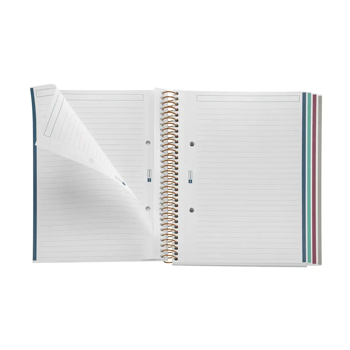 Notebook Lifestyle Rigide A5 Ligné 7mm 120feuil. 4coul. Crème photo du produit