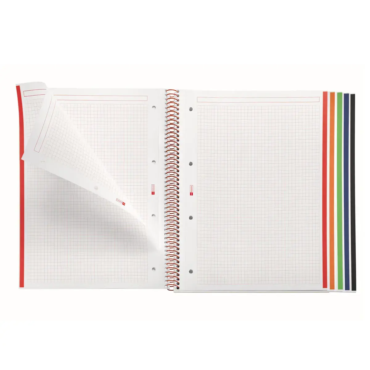 Notebook Emotions Souple A4 Quadrill&eacute; 5 x 5 mm 120 feuilles 5 couleurs Lime - Miquel Rius photo du produit