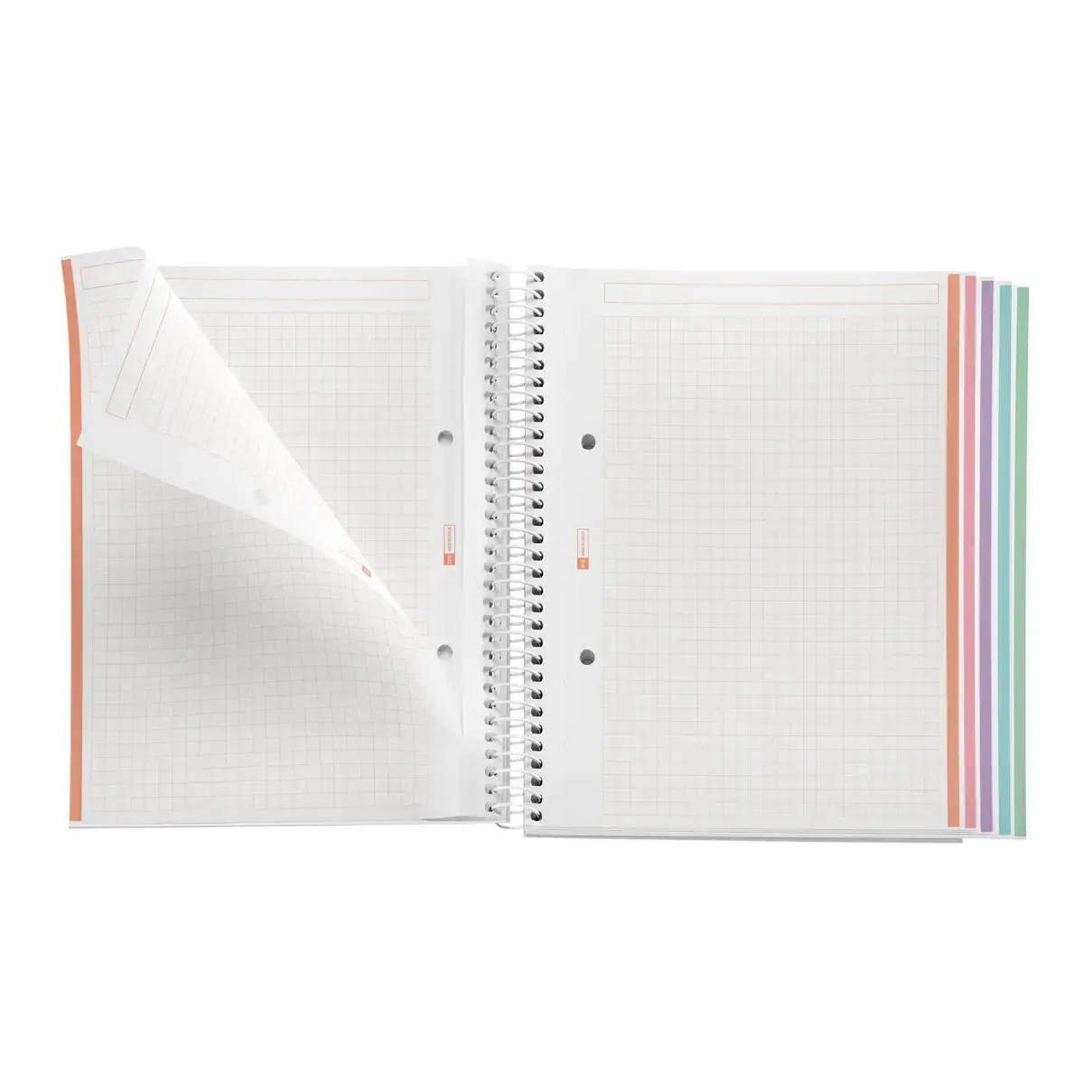 Notebook Emotions Rigide A5 Quadrillé 5 x 5 mm 120 feuilles 5 couleurs Rose - Miquel Rius photo du produit