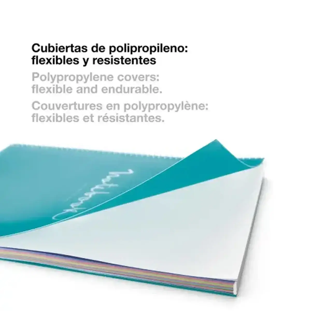 Notebook Emotions Souple A4 Quadri. 5x5mm 160feuil. 8coul. Ciel photo du produit