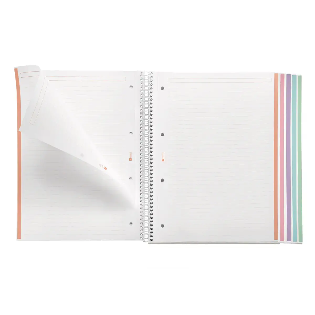 Notebook Emotions Rigide A4 Ligné 7 mm 120 feuilles 5 couleurs Menthe - Miquel Rius photo du produit