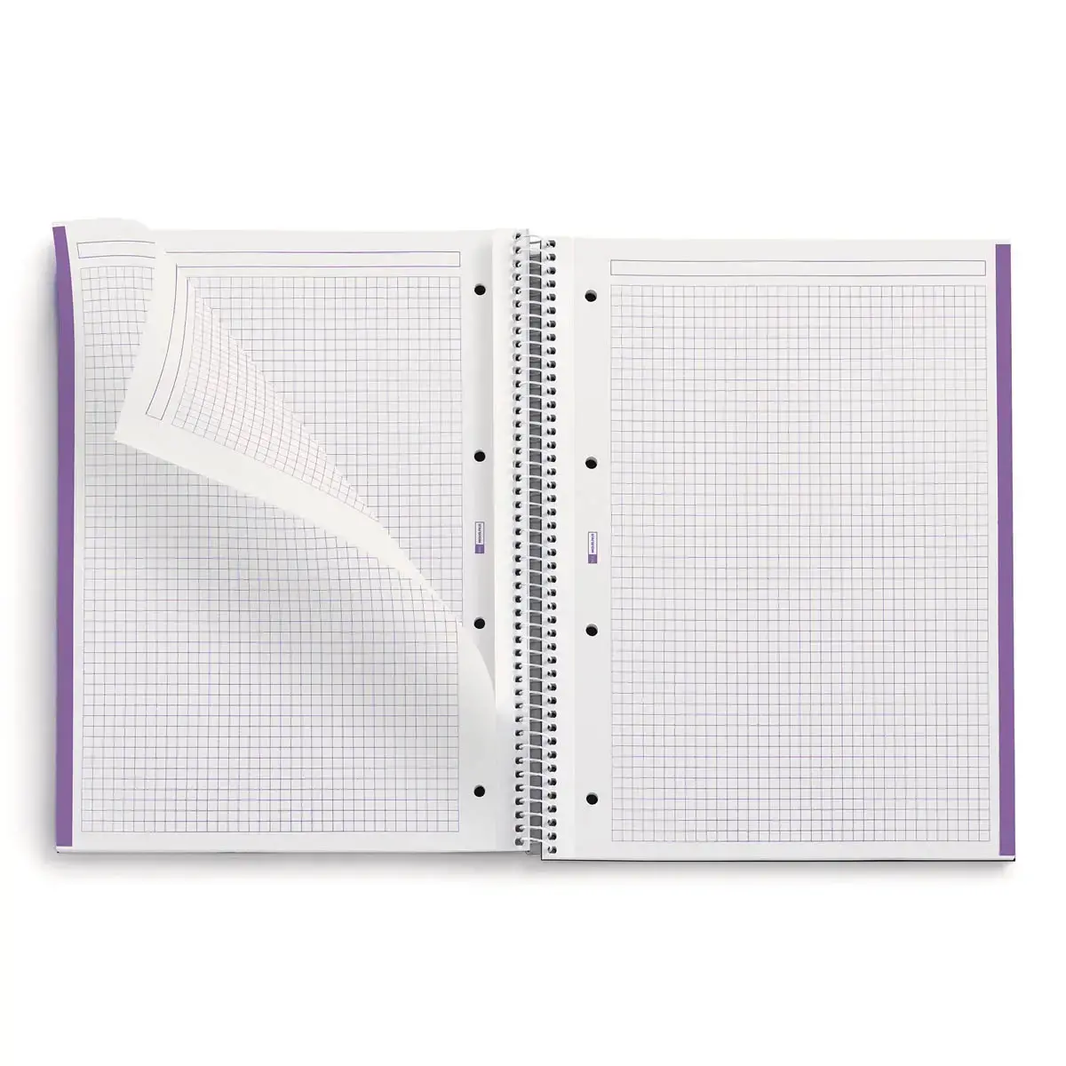 Notebook Be Eco Recycl&eacute; A4 Quadri. 5x5mm 80feuil. Am&eacute;thyste photo du produit