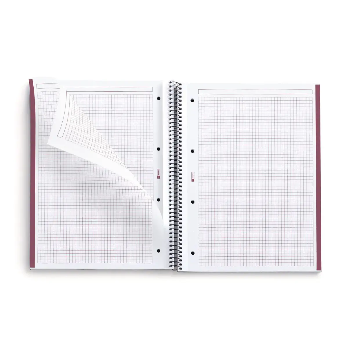 Notebook The Original Rigide A4 Quadrillé 5 x 5 mm 80 feuilles Sable - Miquel Rius photo du produit