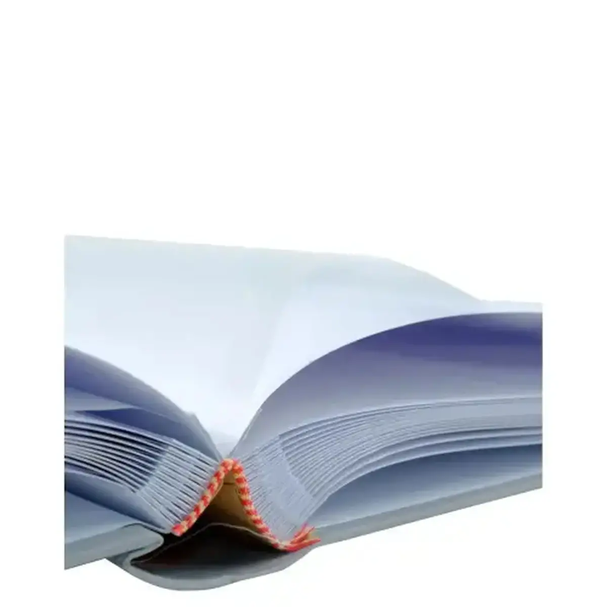 Album livre 60p blc 29x32cm Ellipse gris photo du produit