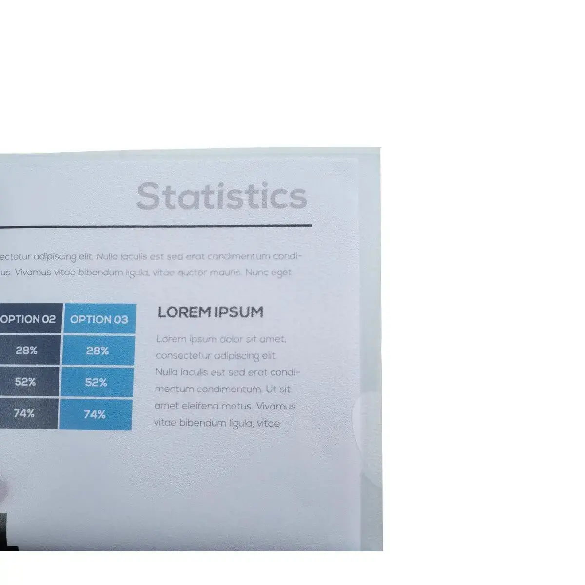 Sachet100 poch.Coin A4 PP graine ECO inc photo du produit