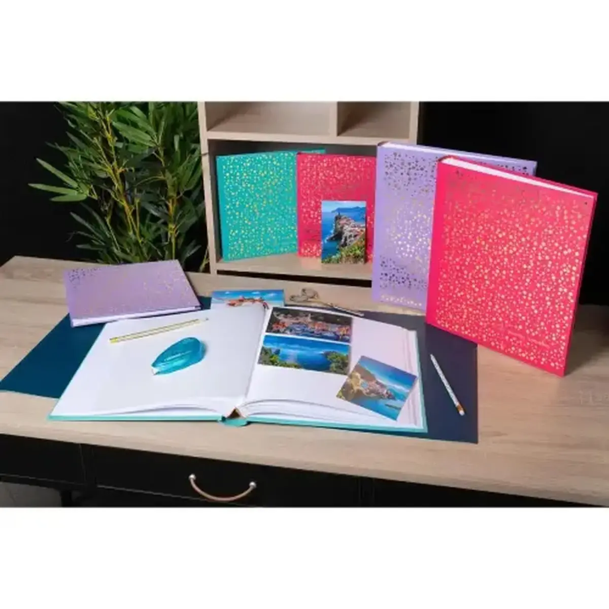 Livre album Plum - 30 pages - 25 x 25 cm - Framboise - Exacompta photo du produit