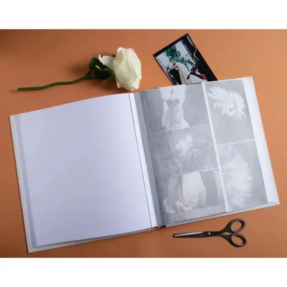 Album livre 60p blc 29x32cm Art ivoire photo du produit