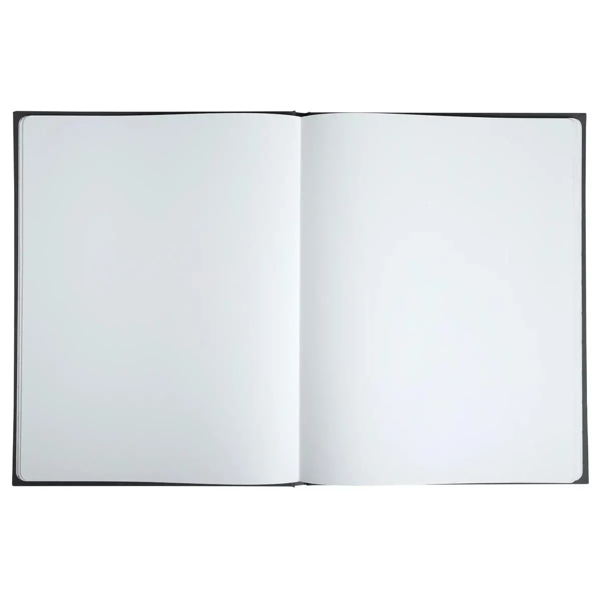 Livre d'or 100p argent 27x22cm Art noir photo du produit