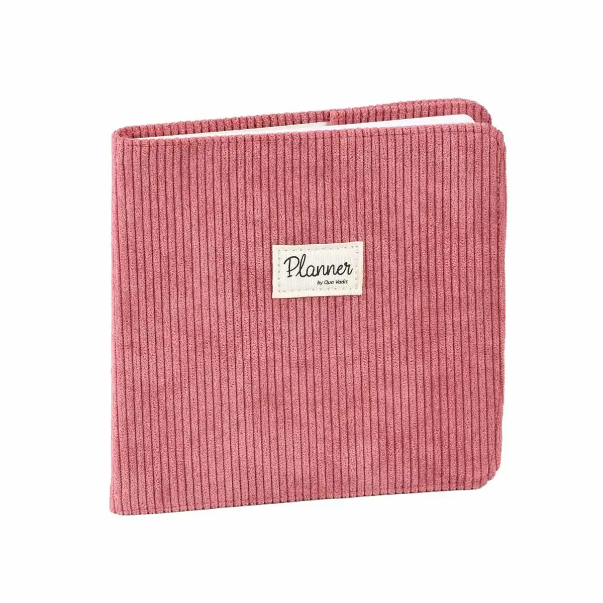 EXECUTIF rep FR Colette rose camelia photo du produit