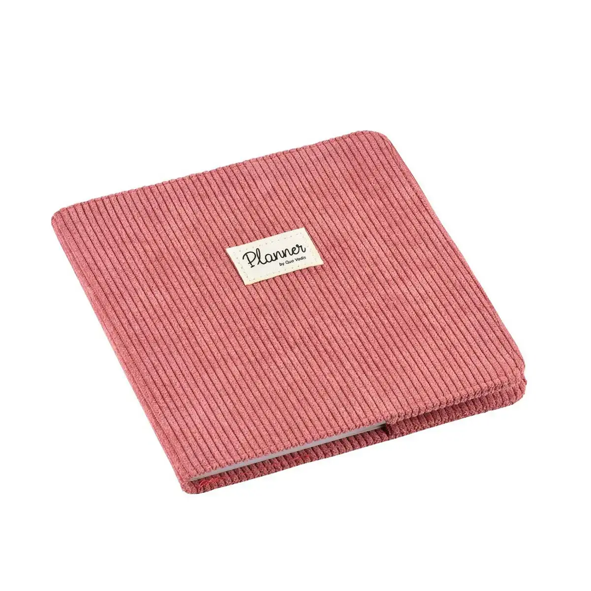 EXECUTIF rep FR Colette rose camelia photo du produit
