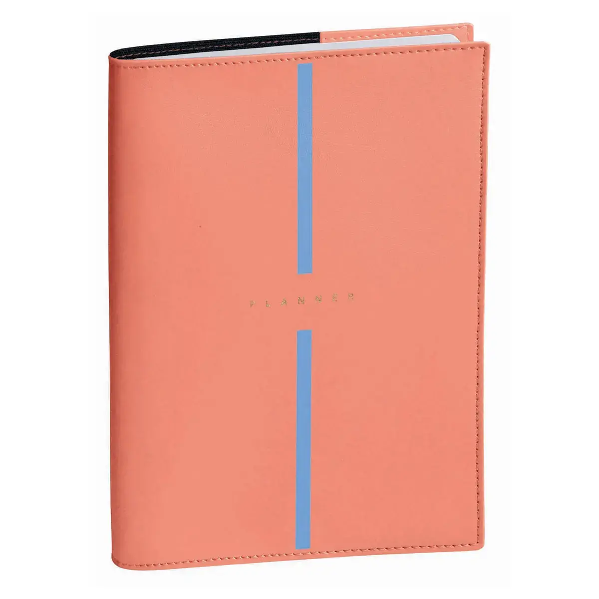 PLAN NOTE 1521 ML Billy blush photo du produit