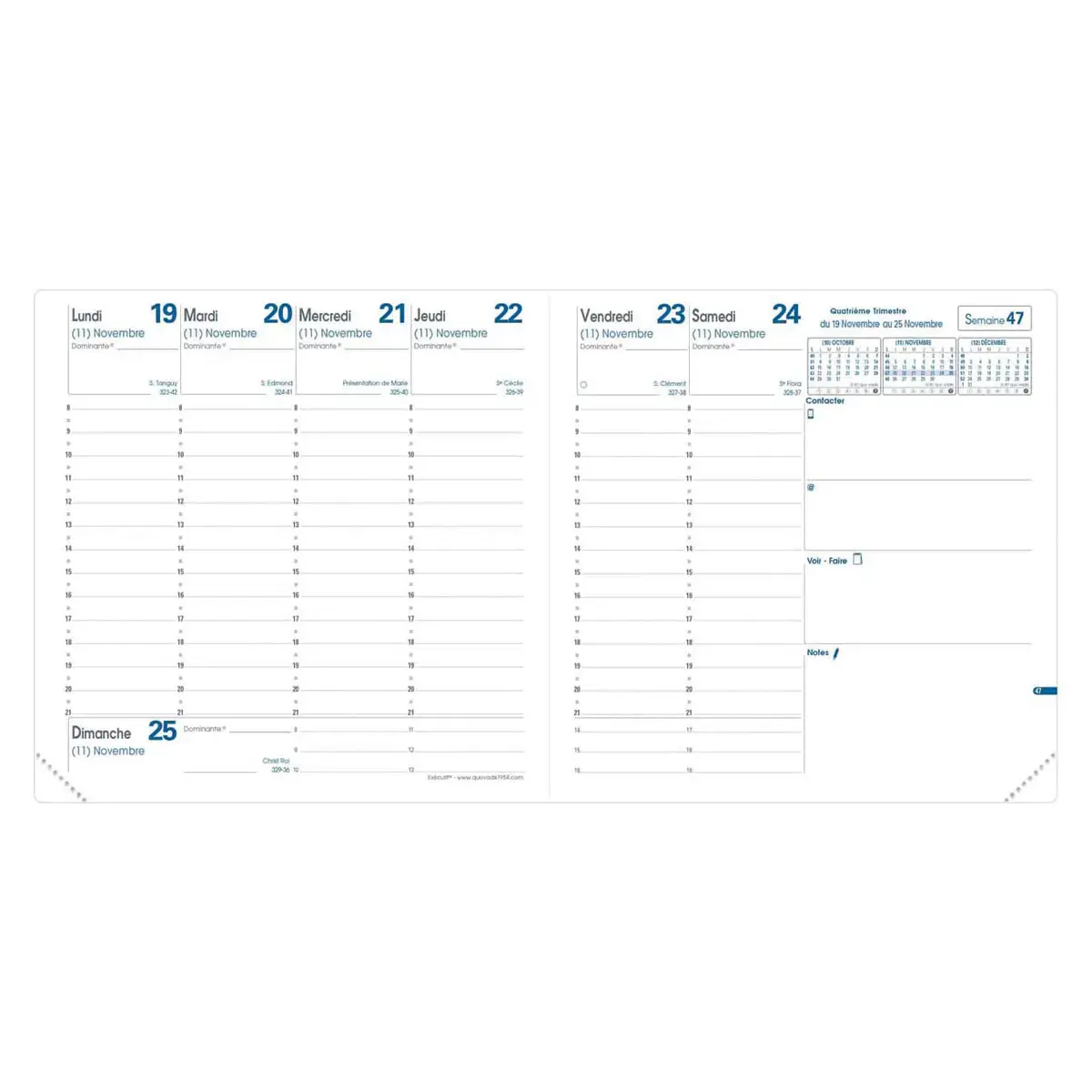 EXECUTIF rep FR bloom vert photo du produit