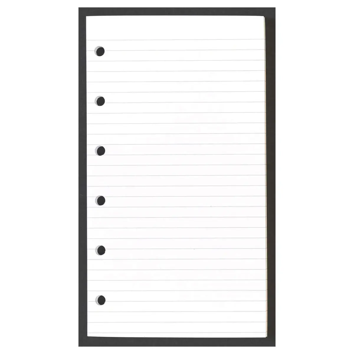 FEUILLES ADRESSE 0813 TD rech s/f photo du produit