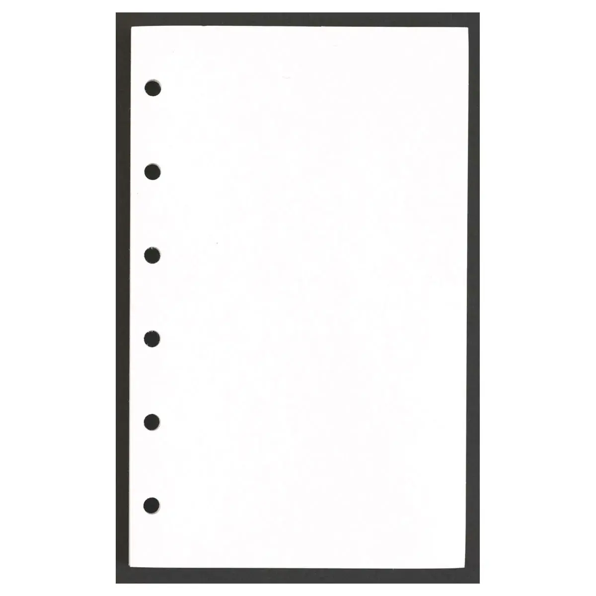 FEUILLES BLANCHES 0914 TD rech s/f photo du produit