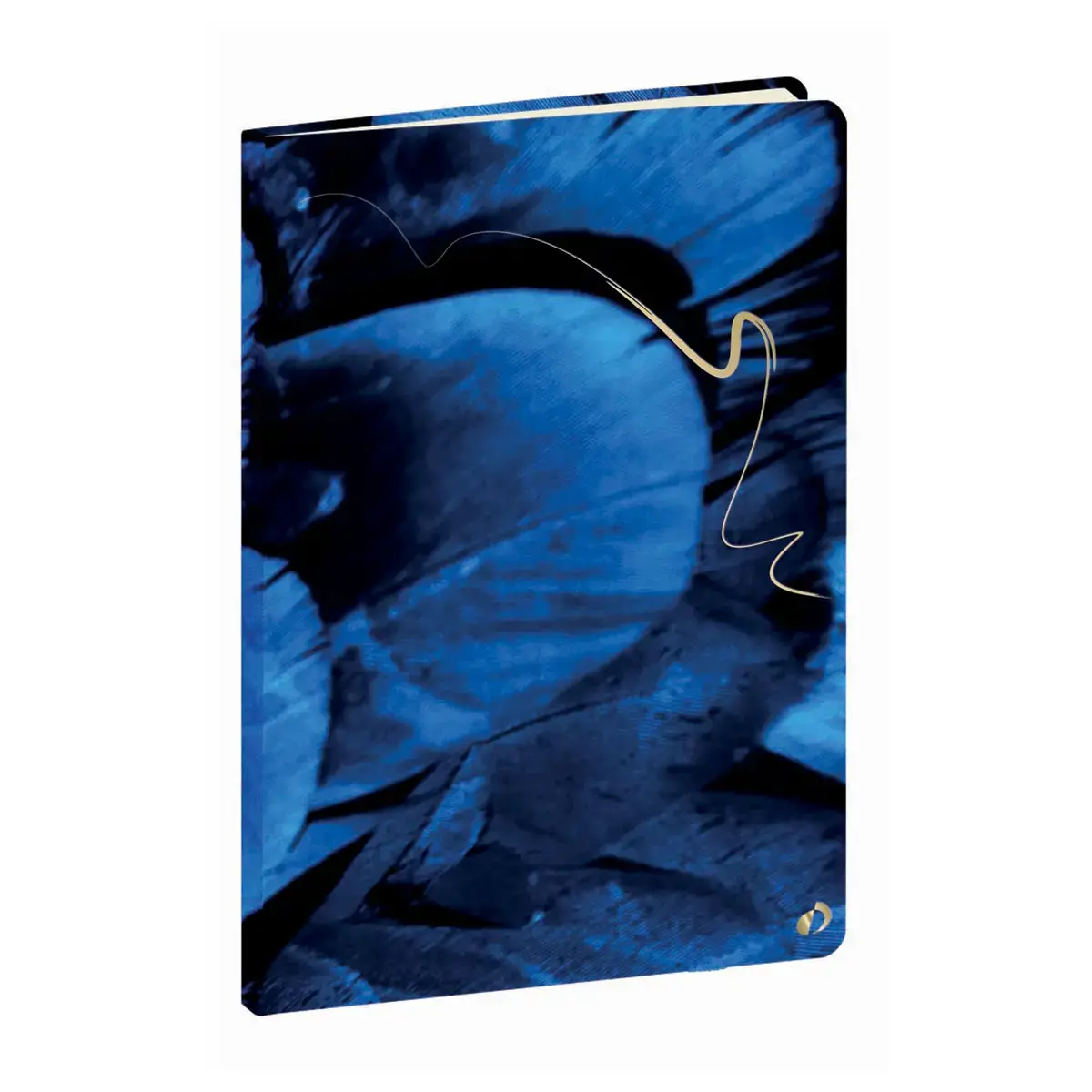 CARNET 21 d-lig Hipsy plume photo du produit