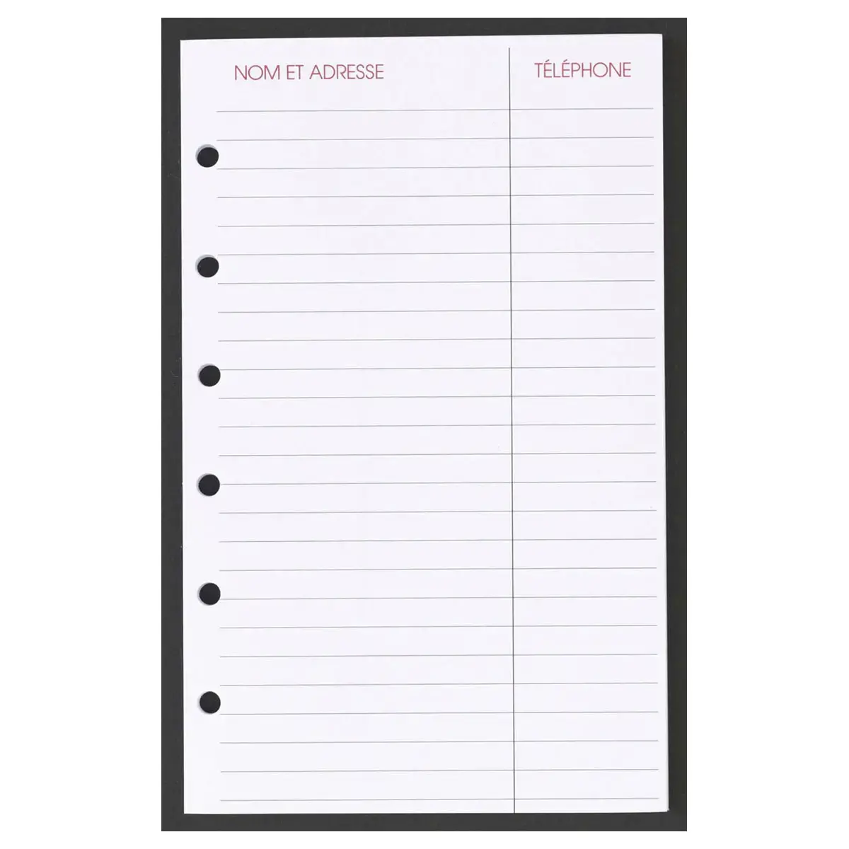 FEUILLES ADRESSE 0914 TD rech s/f photo du produit
