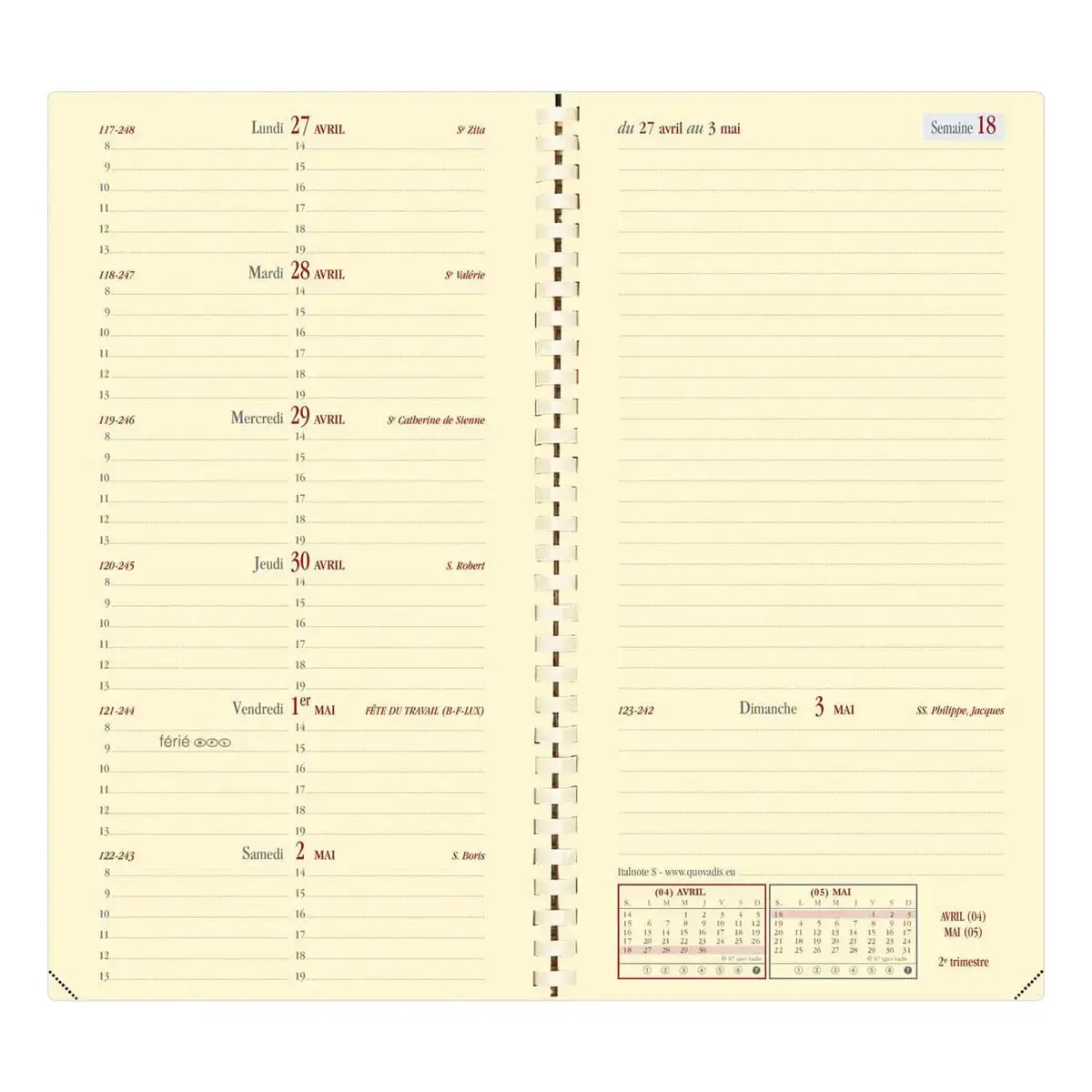 ITALNOTE S rep FR Soho rose photo du produit