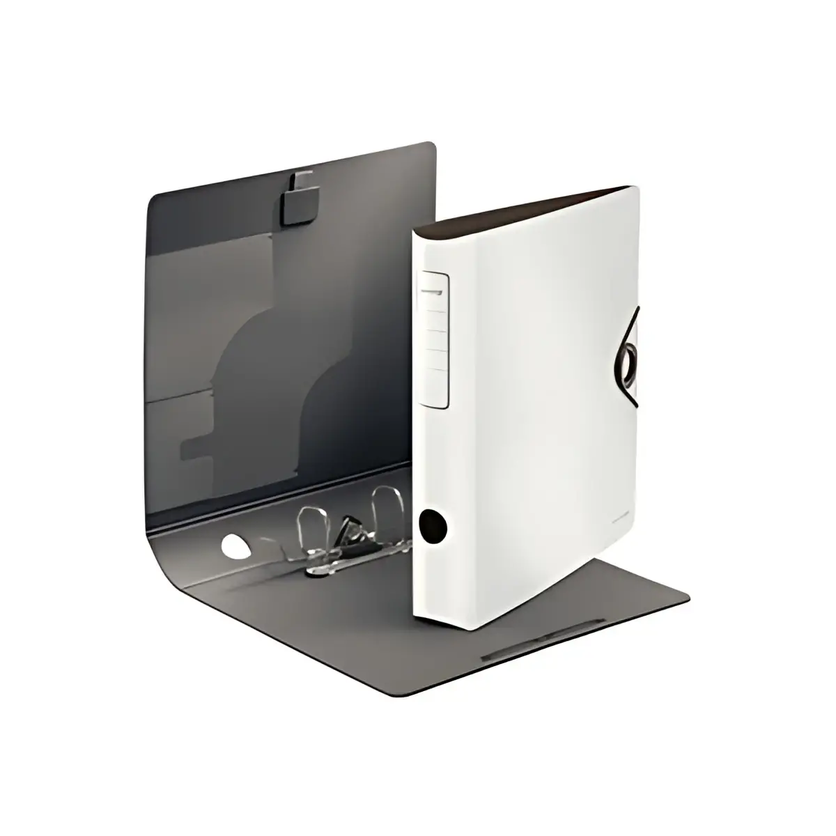 LEITZ Classeur &agrave; levier Active Solid, 180 degr&eacute;s, 65 mm photo du produit