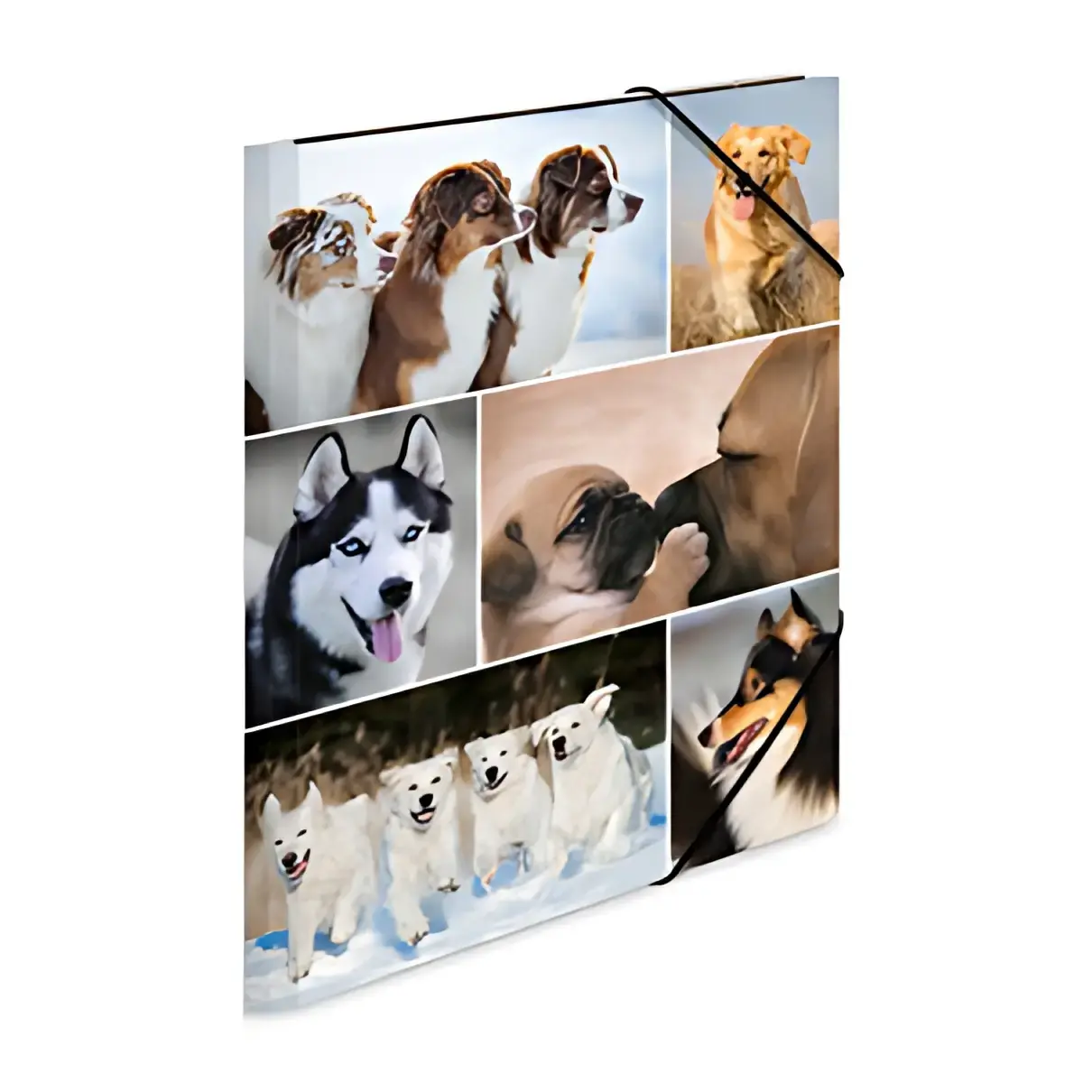 HERMA Chemise à élastiques 'chevaux', carton, A3 photo du produit