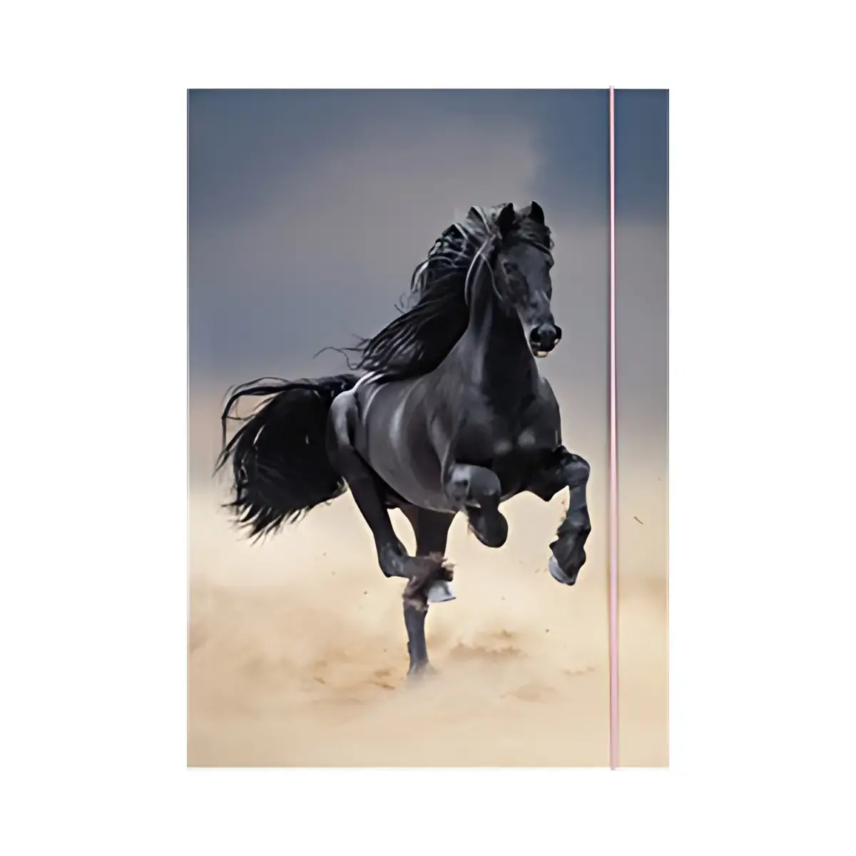 folia Pochette de rangement à dessins BASIC 'Roaring Tiger' photo du produit