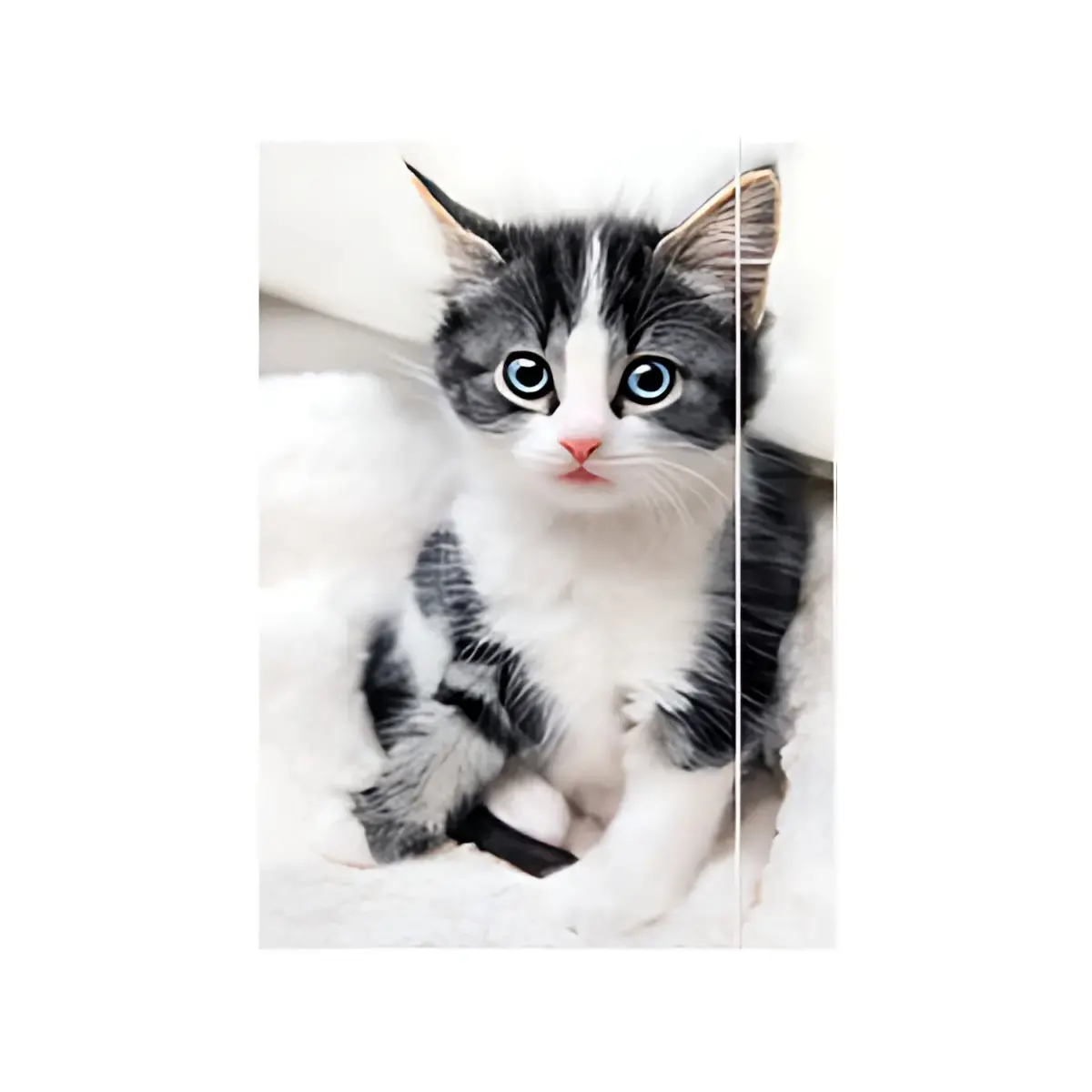 RNK Verlag Carton à dessin 'Chaton', A3 photo du produit