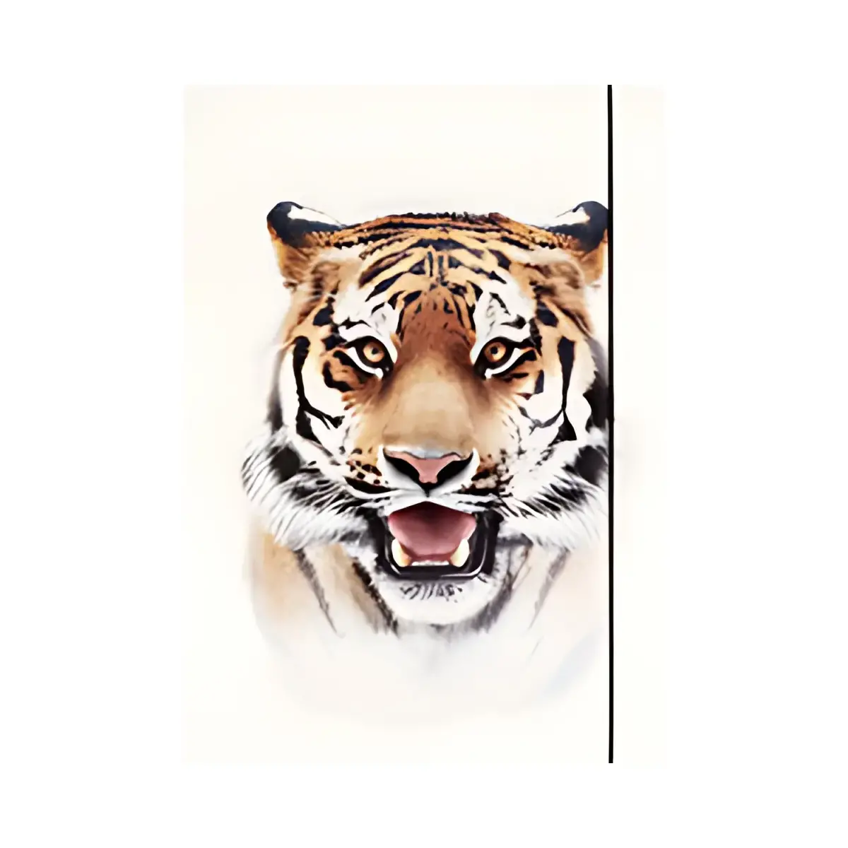 folia Pochette de rangement à dessins BASIC 'Jungle Cuties' photo du produit