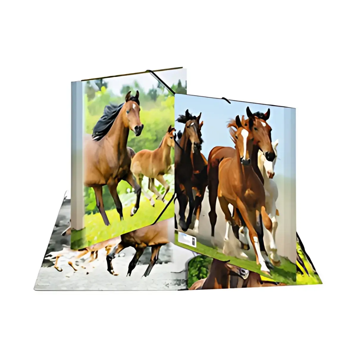 HERMA Chemise élastique 'chevaux', transparent, en PP, A4 photo du produit