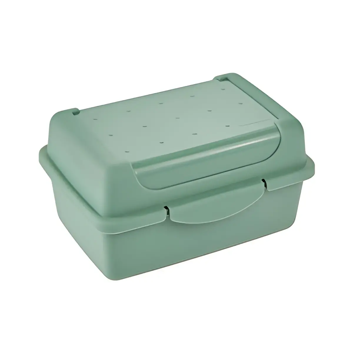 keeeper Bo&icirc;te &agrave; go&ucirc;ter 'luca', Click-Box micro, nordic-green photo du produit