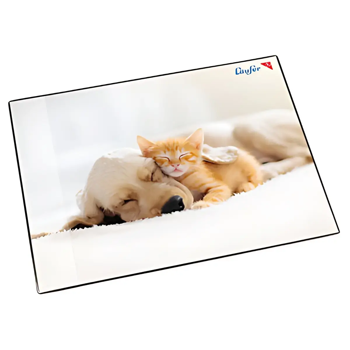 Läufer Sous-main Chien et chat, 400 x 530 mm photo du produit