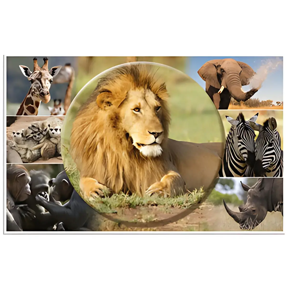 HERMA Sous-main 'Animaux d'Afrique', (L)550 x (H)350 mm photo du produit