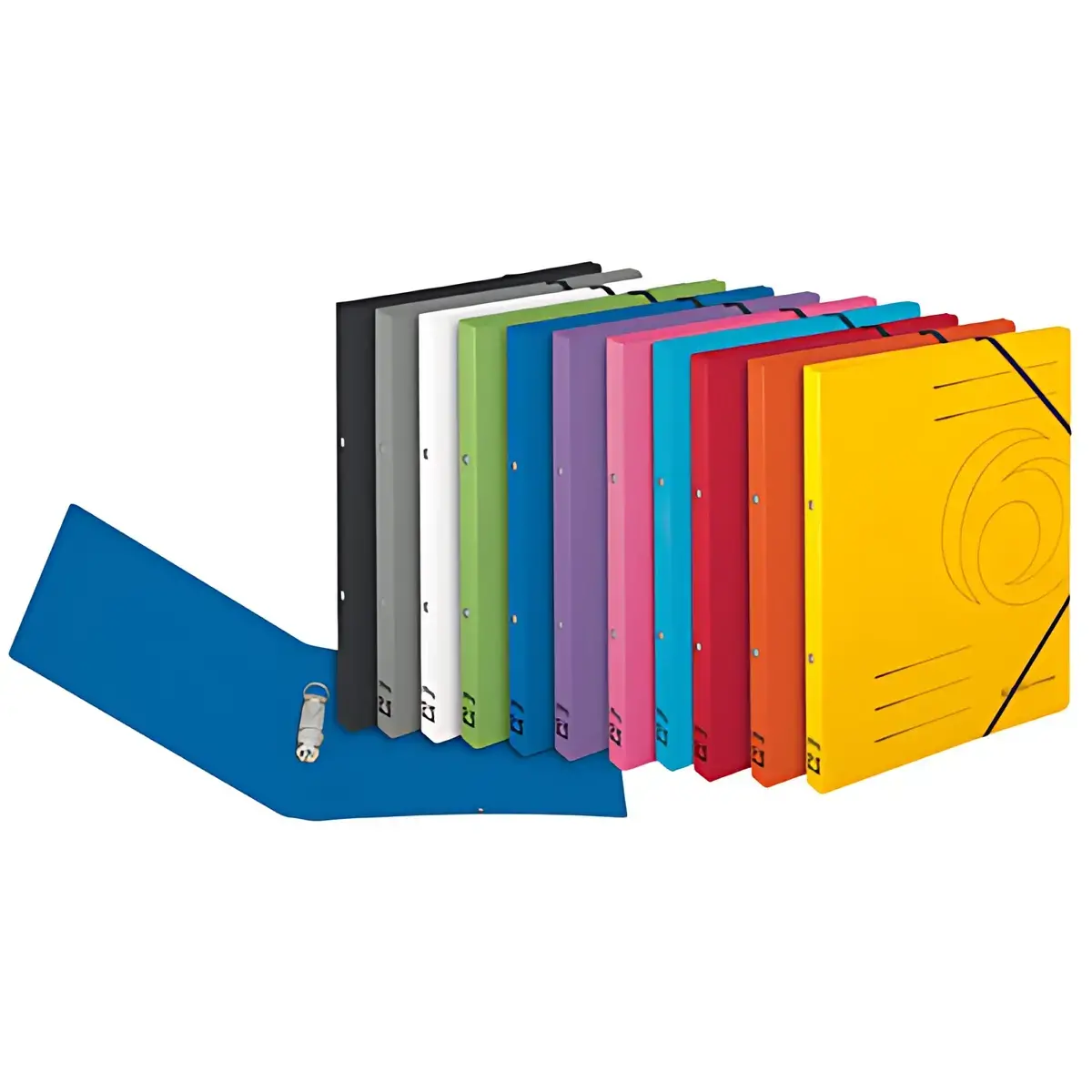 5 HERLITZ Classeur à anneaux easyorga, A4, carton photo du produit