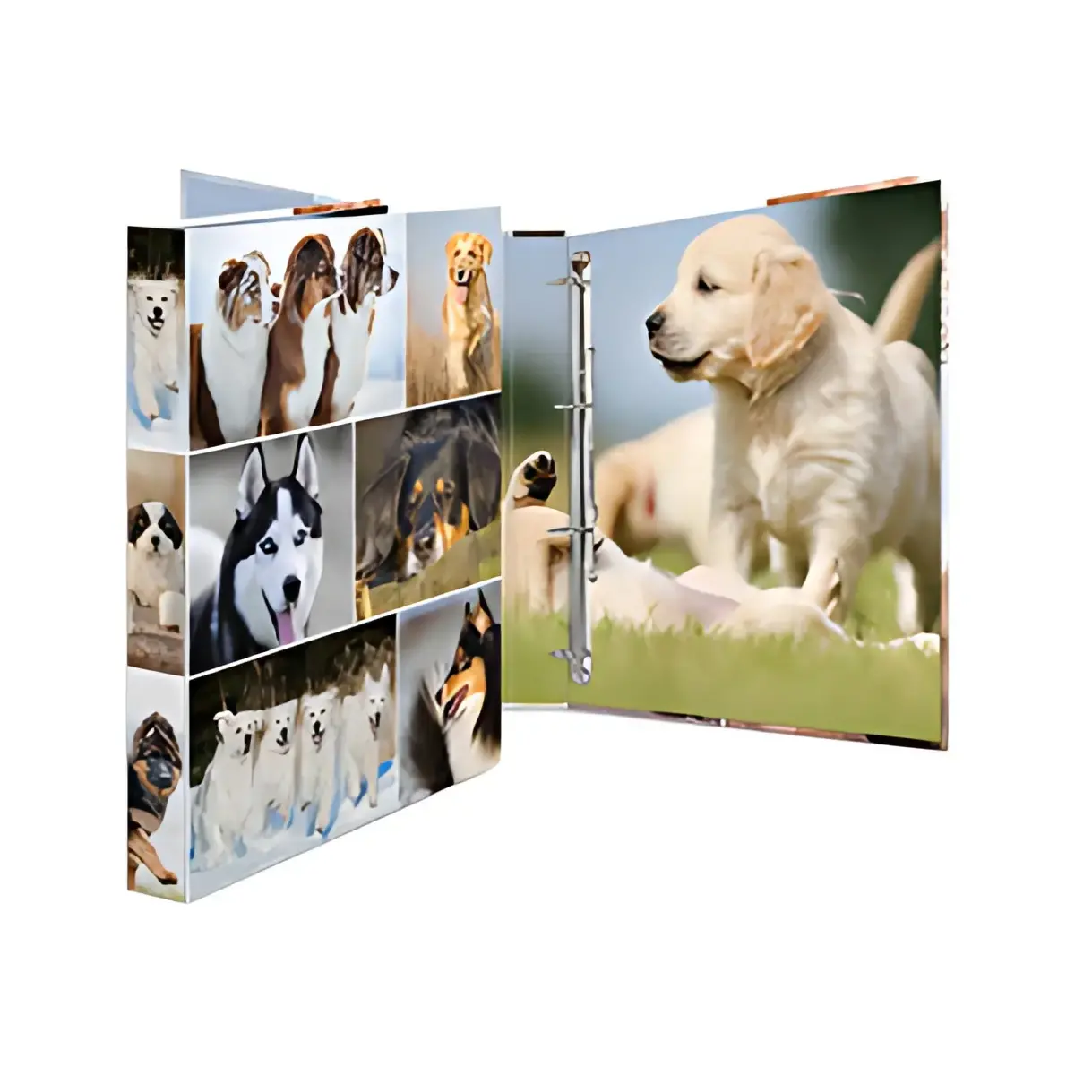 HERMA Classeur &agrave; anneaux 'chiens', A4, m&eacute;canisme &agrave; 4 anneaux photo du produit