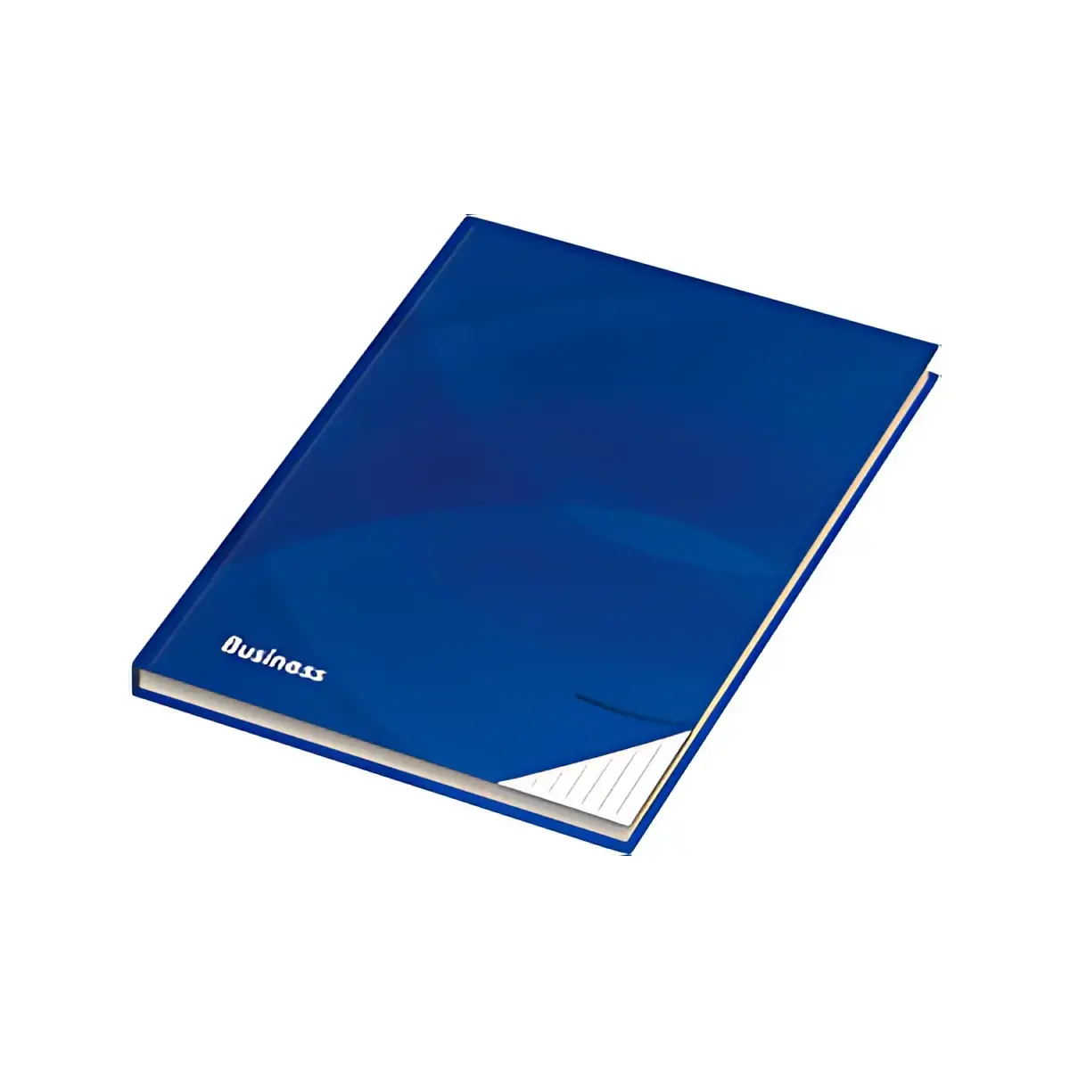 RNK Verlag Cahier 'Business bleu', A5, ligné photo du produit