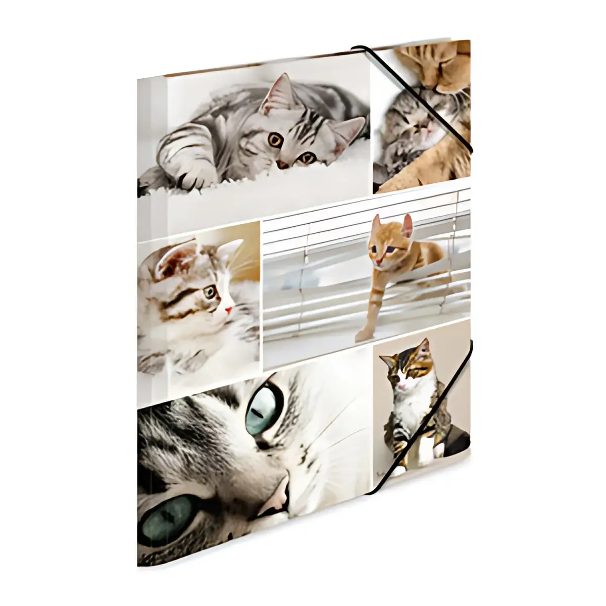 Chemise à élastiques Animaux dAfrique - carton - A3 - Herma photo du produit