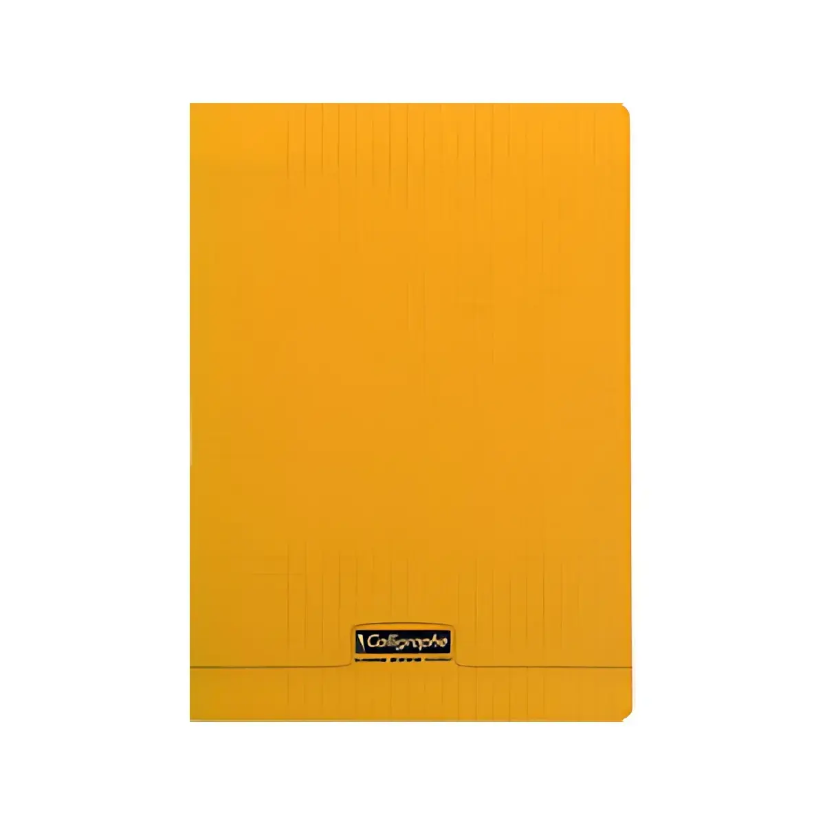 Calligraphe Cahier 8000 POLYPRO, 240 x 320 mm, assorti photo du produit