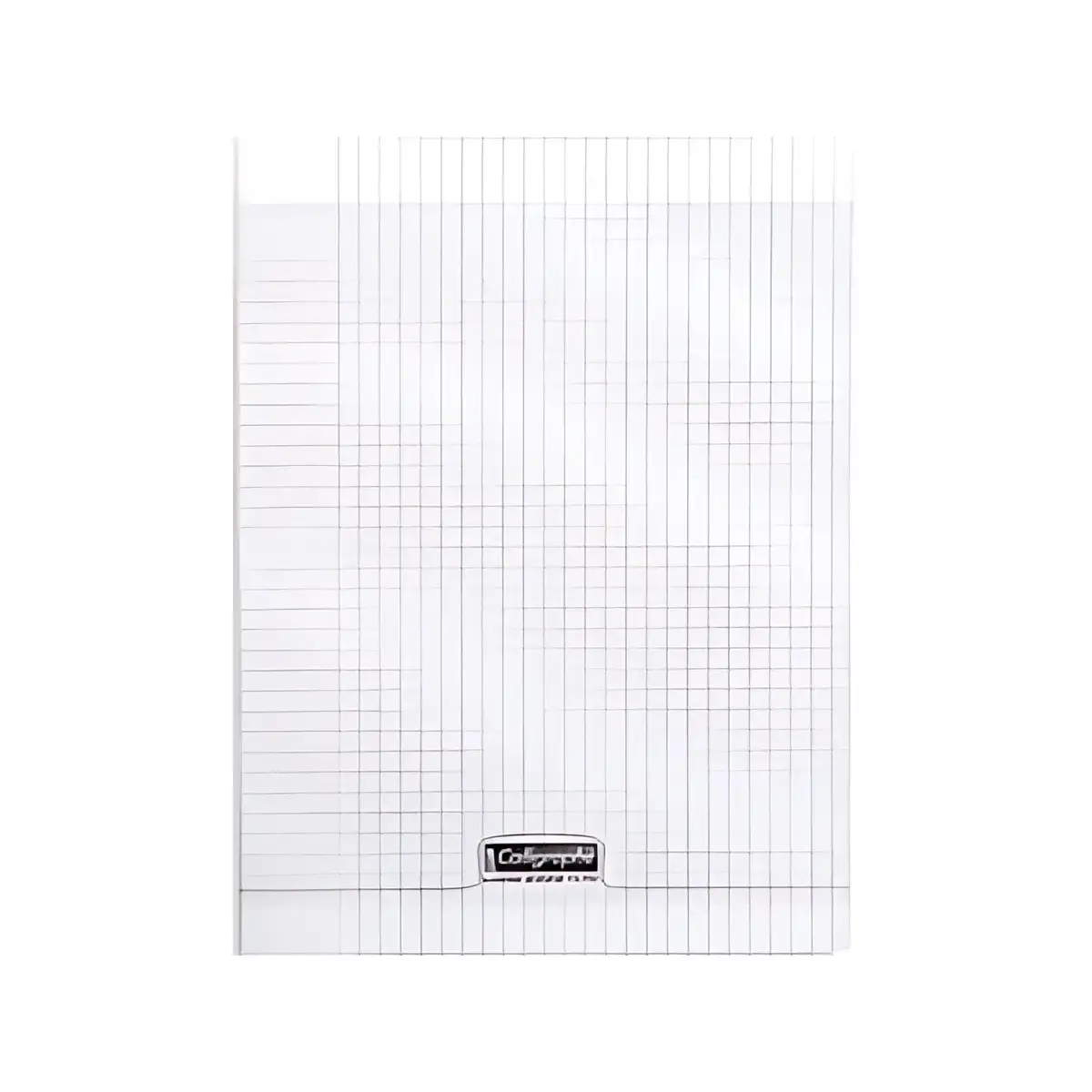 Calligraphe Cahier 8000 POLYPRO, 240 x 320 mm, assorti photo du produit