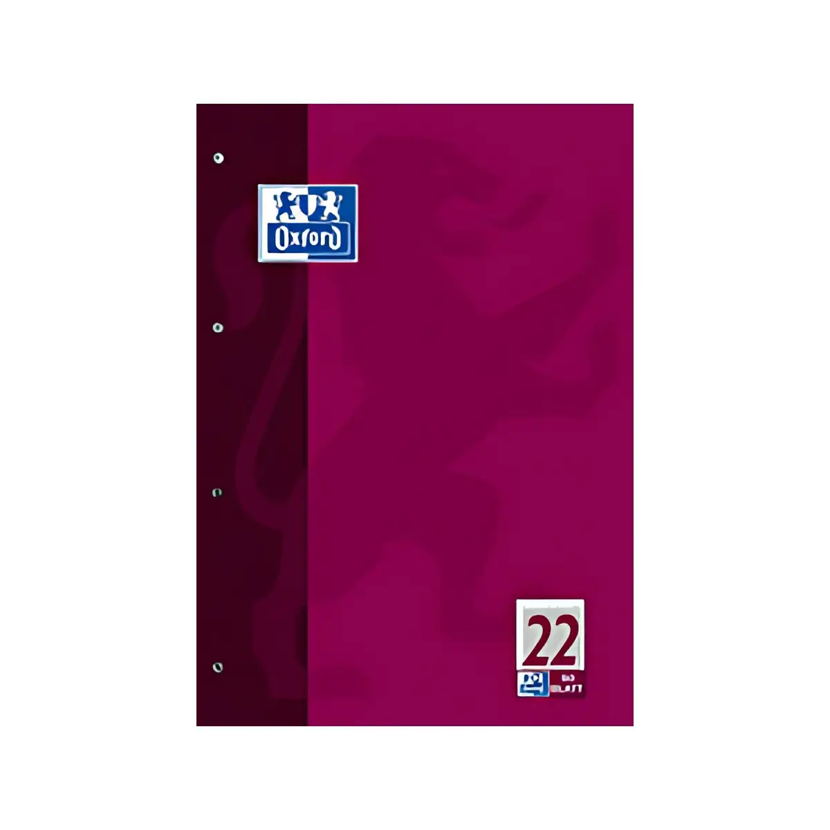 Oxford Bloc de travail, A4, 50 pages, linéature 1 , photo du produit