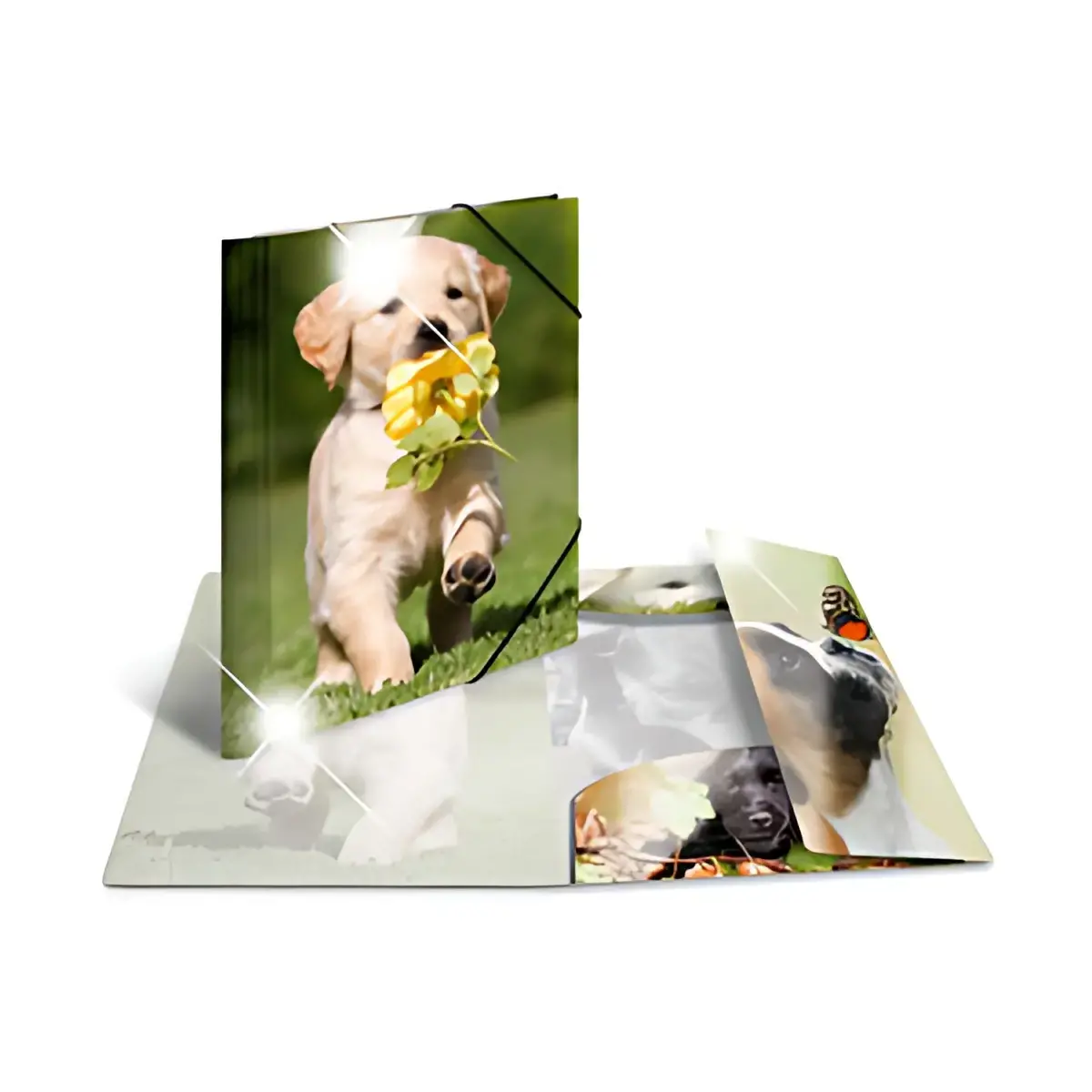 HERMA Chemise à élastiques 'girafe', PP Glossy, A3 photo du produit