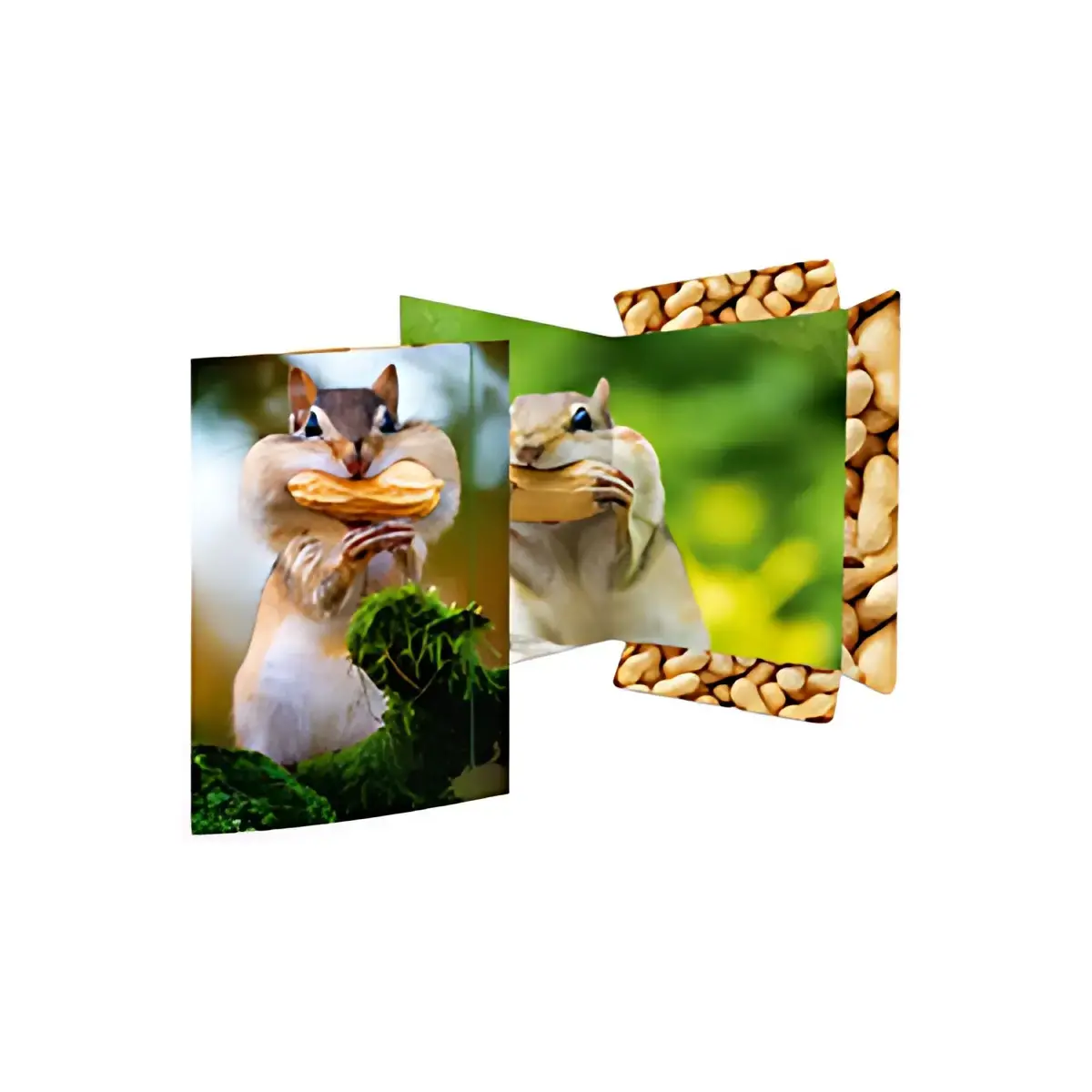 RNK Verlag Carton &agrave; dessin 'Cheval', A3 photo du produit