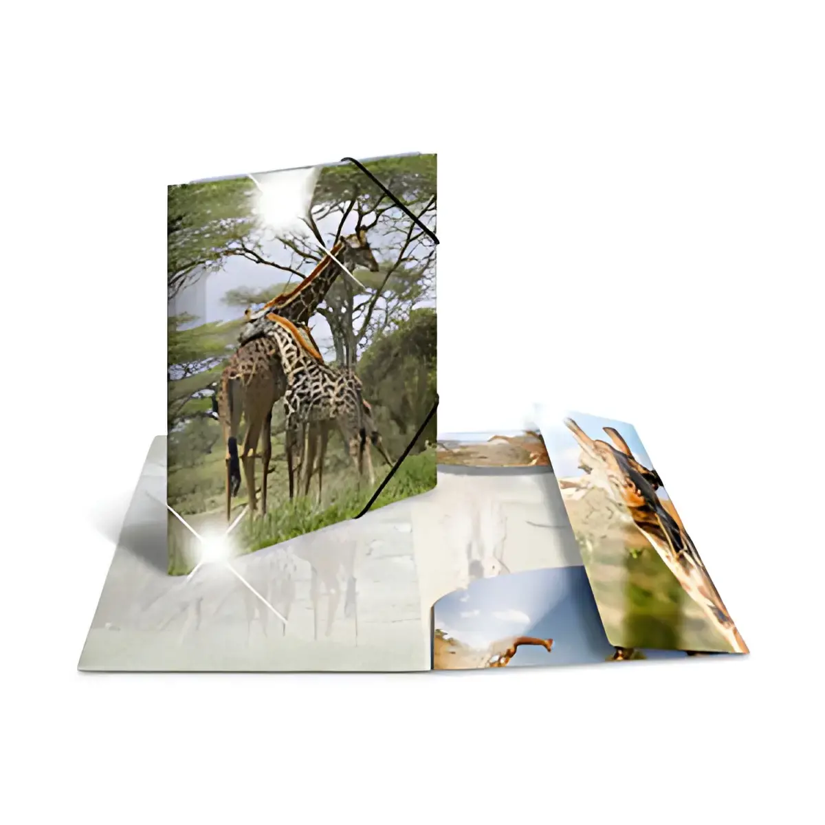 Chemise à élastiques Chevaux - PP Glossy - A4 - Herma photo du produit