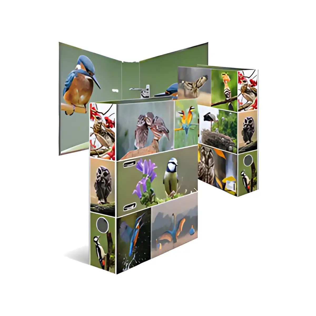 HERMA Classeur à levier 'Monde animal', Oiseaux photo du produit