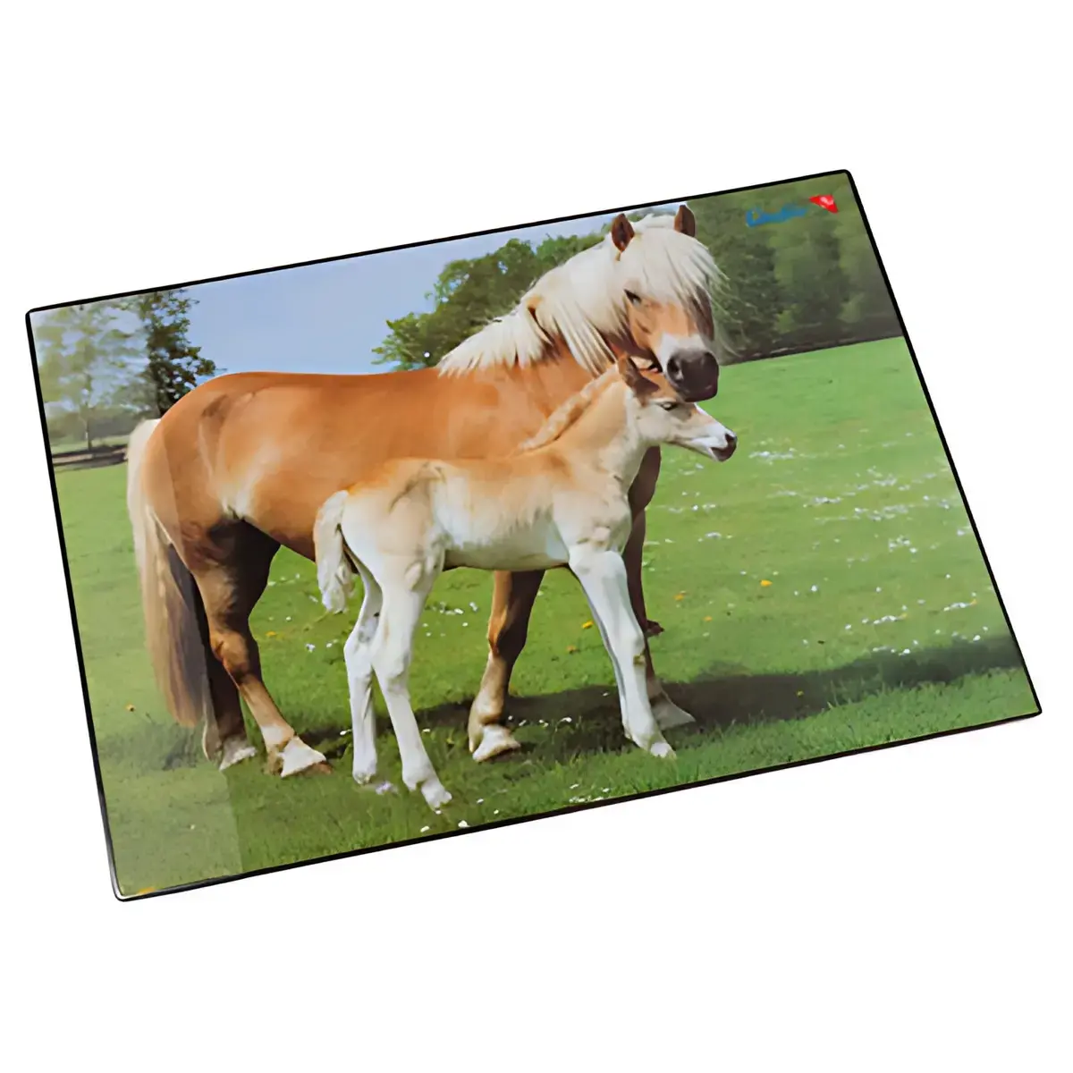 L&auml;ufer Sous-main cheval et poulain, 400 x 530 mm photo du produit