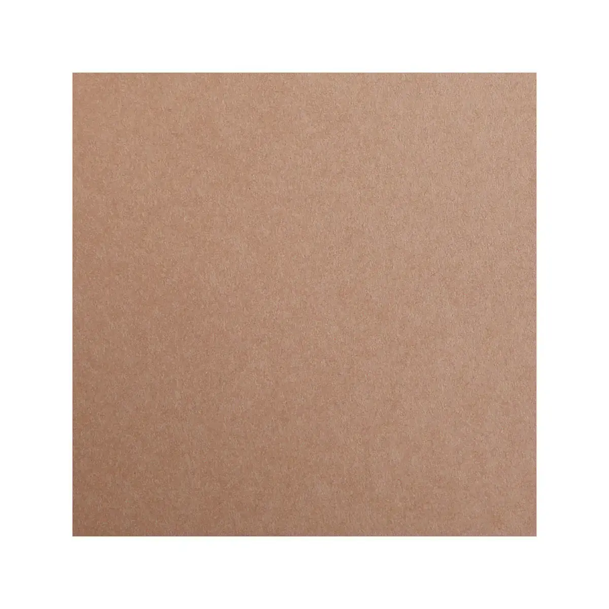 Feuille papier maya 270g 500x700mm brun 25 unit&eacute;s - Clairefontaine photo du produit