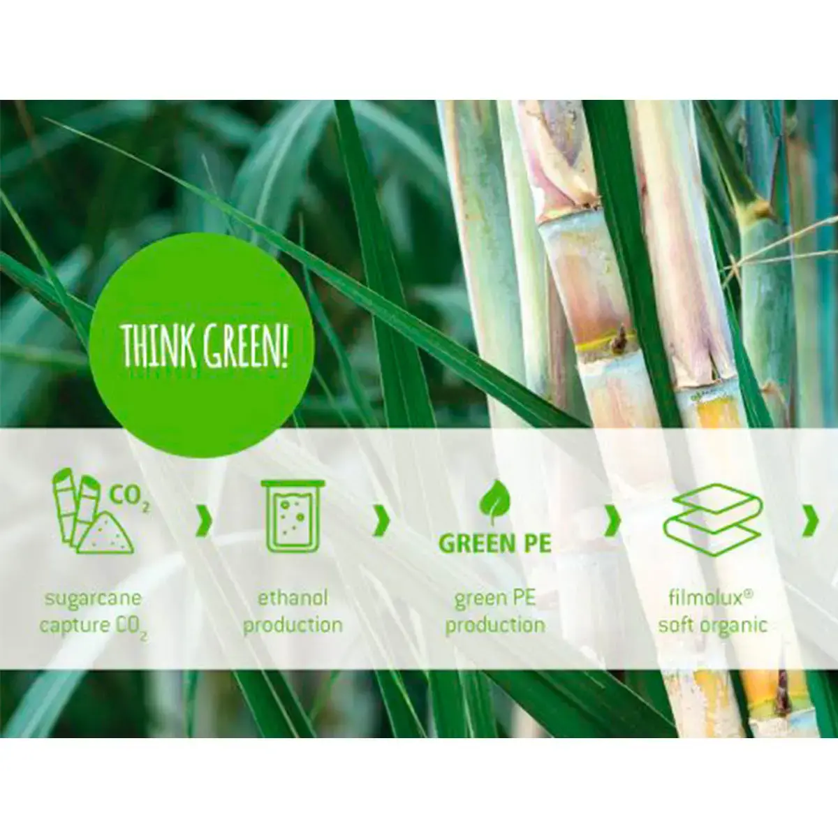Film protecteur bio 25m x 50cm polyéthylène recyclable - Filmolux photo du produit