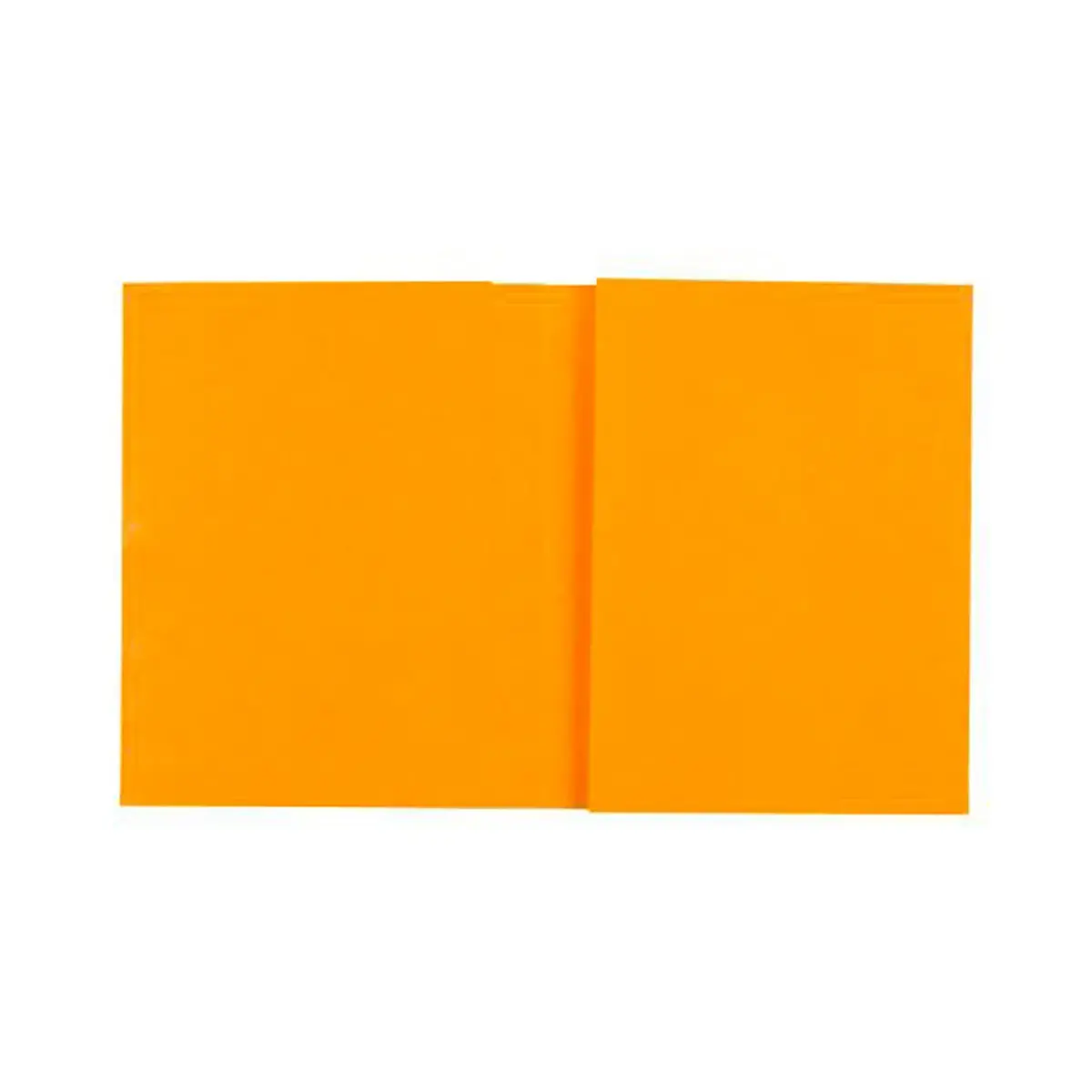 Protège cahier carte lustrée 225g - 17x22 cm - Exacompta photo du produit