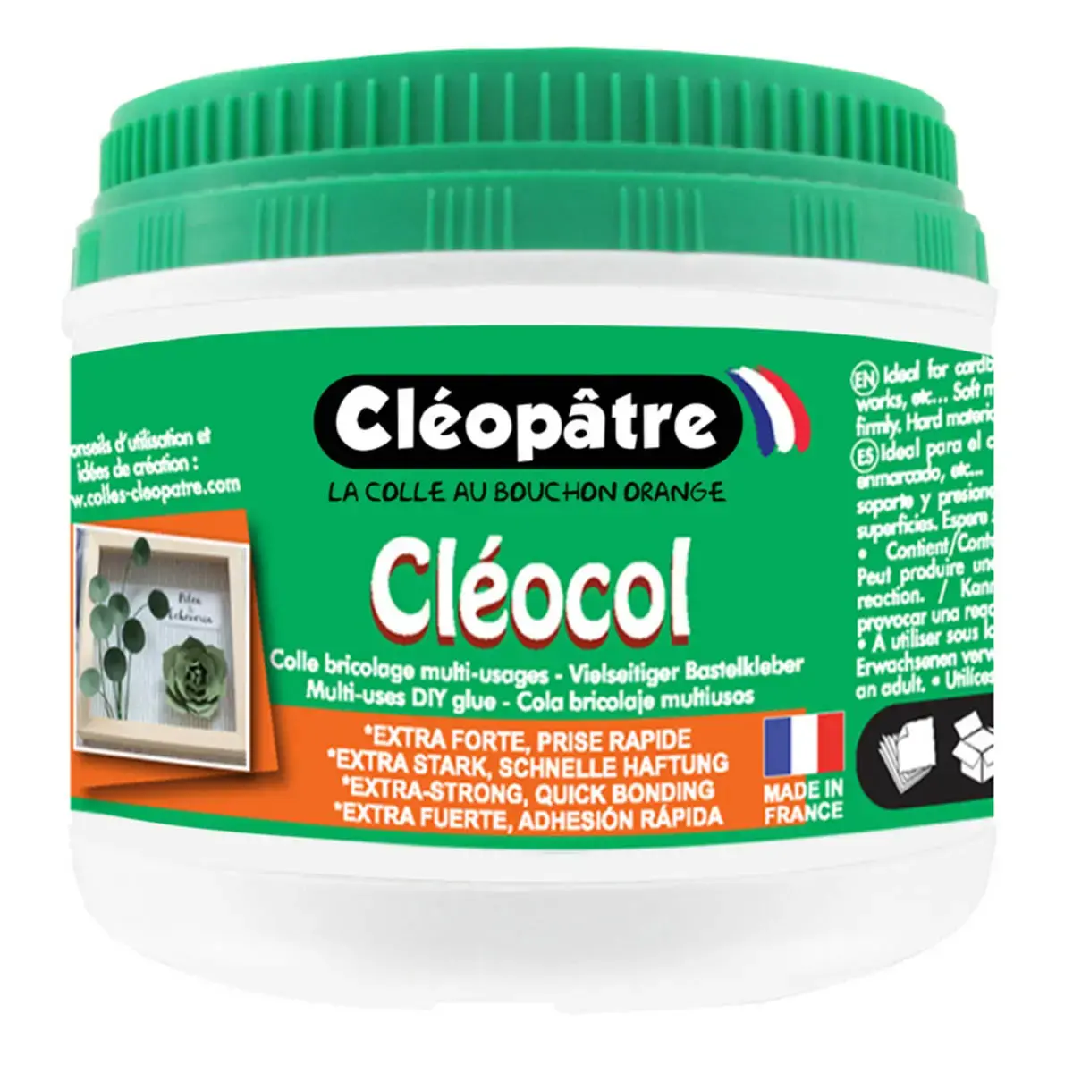 Colle cleocol extra forte s&eacute;chage rapide 500g - Cleopatre photo du produit